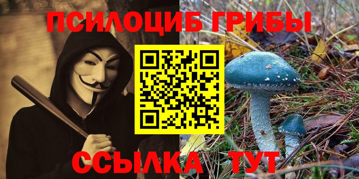 Галлюциногенные грибы GOLDEN TEACHER Ангарск