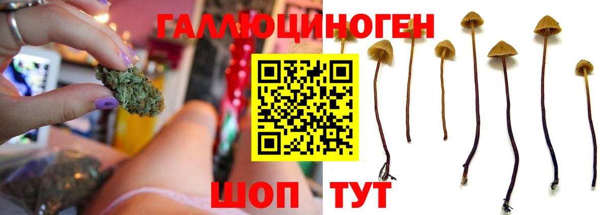 Галлюциногенные грибы MAGIC MUSHROOMS  купить   Ангарск  Галлюциногенные грибы MAGIC MUSHROOMS  Вход с VPN 